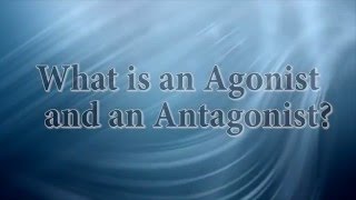 What is an Agonist and what is an Antagonist?