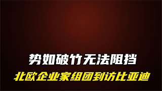 势如破竹！北欧企业家组团参观比亚迪，惊赞中国车企力量