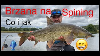 Brzana na spining, jaka metoda ?.Vlog 100