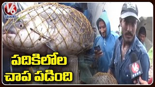 Huge Crowd To Catch Fishes In Heavy Flood Water | Karimnagar | V6 News