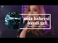 nota bahçesi haydi gel türkce rock müzik ve sarki