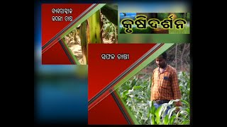 କୃଷି ଦର୍ଶନ // Krushi Darshan // 03 November 2020