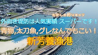 新芳養漁港   太刀魚釣りに大人気！青物だってブリクラスが登場します！！アクセス良く足場良く..ポテンシャルも高い！！スーパー堤防です！