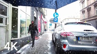 Snowfall and Strong Wind in Bydgoszcz Poland