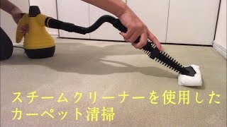 スチームクリーナーを使用したカーペット清掃。