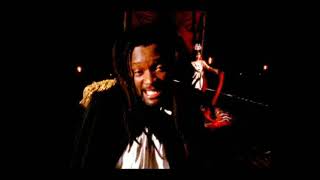 Lucky Dube - Feel Irie (Official Music Video)