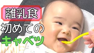 【離乳食】初めてのキャベツにチャレンジ