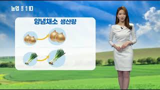 YTN 농업전망대(엽근채소, 양념채소 관측 3월) (2019.03.08.)