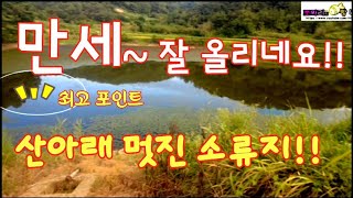 꼬리에 꼬리를 물고 밤새 쏟아져 나옵니다/ 찌올림은  만세 운동을.. #붕어낚시