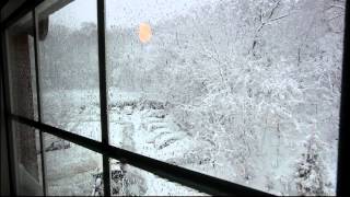 Boston Blizzard Jan 12 2011