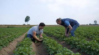 TEELT IN BEELD - Op bezoek bij Gebroeders Vos