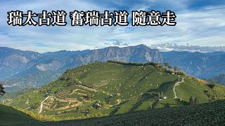 ［嘉義梅山］瑞太古道、奮瑞古道隨意走（奮起步道、油車寮步道、巃仔尾步道）