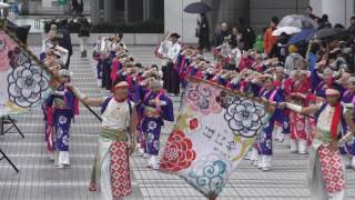 ほにや　東京ふるさと祭り　2017　クリスタルアベニュー　パレード演舞