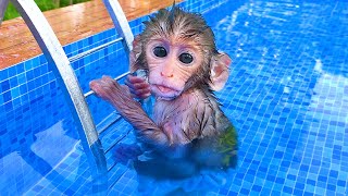 Monkey Baby Bon Bon Drives To The Pool And Opens Surprise Eggs With Puppy in the garden