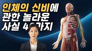 인체의 신비에 관한 놀라운 사실 40가지