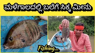 How to cast a net and catch fish in a stream.  ಹೊಳೆಯಲ್ಲಿ ಬಲೆ ಹಾಕಿ ಮೀನು ಹಿಡಿಯುವುದು ಹೇಗೆ ...?#Fish