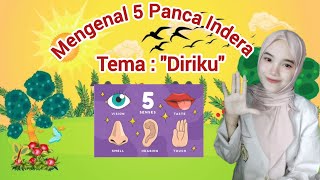 Mengenal 5 Panca Indera Pada Tubuh Manusia