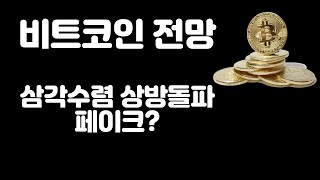 비트코인 전망 / 펀디엑스 전망 / 페이크 가능성