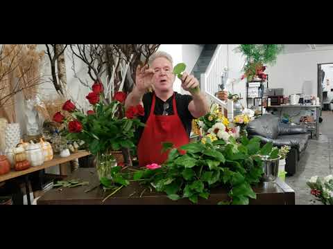 How much should 2 dozen roses cost?