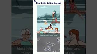 The Brain-Eating Ameba: Naegleria Fowleri #neurology #infection #medicine #health #prevention