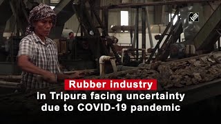 Rubber industry in Tripura facing uncertainty due to COVID-19 pandemic