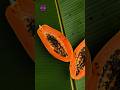 INTERESTING FACTS ABOUT PAPAYA | FRUIT FACTS | PAPAYA FACTS