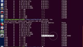 Seed Labs: TCP/IP attack (Task 1)