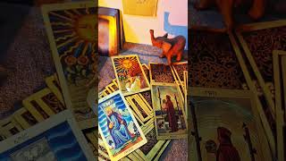 هل هذا الكراش يبادلني نفس المشاعر!! #التاروت #تاروت #الابراج_الفلكيه #الكراش #tarot #رسائل_الملائكه