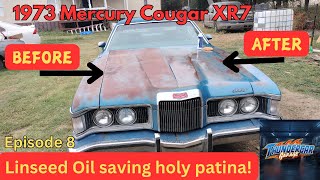 Episode 8 - Linseed Oil Saving Patina - 1973 Mercury Cougar XR7