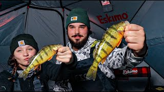 Crushing GIANT hard water PERCH