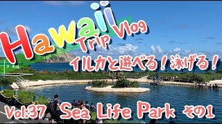 Hawaii TripVlog 2019. Vol:37　イルカと遊べる！泳げる！ Sea Life Parkに行ってみたらスゴかった　その１　ヽ(´▽｀)/