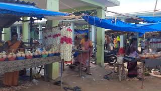 veeramakaliyamman temple அருள்மிகு வீரமகாளியம்மன் திருகோவில் பெரம்பூர் புதுக்கோட்டை