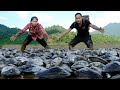 Harvesting oysters in the mud with her husband, cook with your children