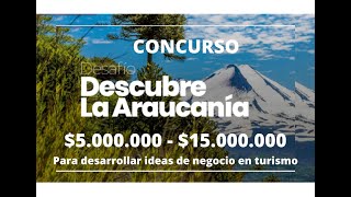 Postula a Desafío Descubre Araucanía $5.000.000 a $15.000.000 para desarrollar negocios turísticos