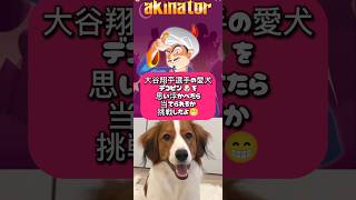 【アキネイター】大谷翔平選手の愛犬「デコピン」を思い浮かべたら、当てられるか挑戦したよ😁#shorts#デコピン#いぬ