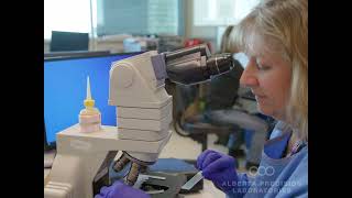 Careers with Alberta Precision Laboratories – National Medical Laboratory Week