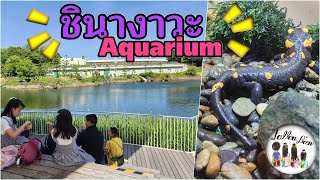 เที่ยว Shinagawa Aquarium l ชินางาวา อควอเรียม l มีอะไรแปลกๆ ให้ดูเยอะมาก