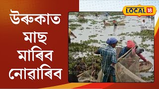 Fishing Banned in Kaziranga | উৰুকাত মাছ মাৰিব নোৱাৰিব কাজিৰঙাত। জাৰি কৰিলে ১৪৪ ধাৰা। #Local18