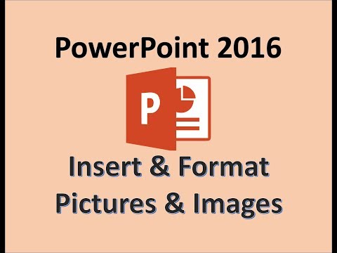 PowerPoint 2016 — Добавление изображений — Как добавить изображение или изображение на слайд презентации MS Power Point
