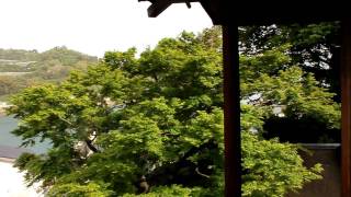 20110502_下蒲刈島・白雪楼からの風景～白雪楼室内