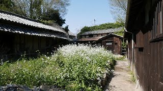 海界の村を歩く 瀬戸内海 牛島（香川県）