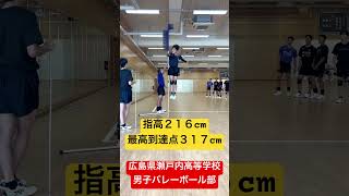 指高２１６cm最高到達点３１７cm #shorts #瀬戸内高校男子バレーボール部 #最高到達点 #インターハイ