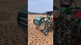 പാടത്ത് വൈക്കോൽ കെട്ടൽ | Paddy straw binding #paddy #paddystraw #kerala #riceharvesting