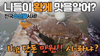 [전국수산물시세Live] 1월마지막주 노량진시세! 황게.방게.깨다시꽃게.주말날씨 안좋음!