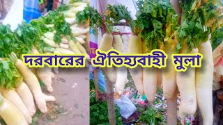 মাইজভান্ডার দরবারে ঐতিহ্যবাহী মুলা