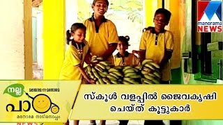 Nallapadam childrens organic farming at school premises  | Manorama News