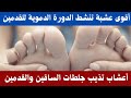 اقوى الاعشاب لتنشيط الدورة الدموية للساقين والقدمين / اعشاب تذيب جلطات الساقين والقدمين