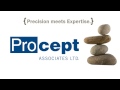 procept the big picture balancing scope schedule cost and resources