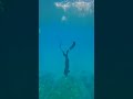 duck dive. Hooman of the sea. freediving La union