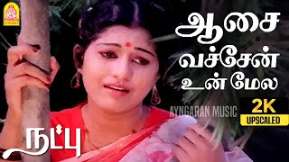 Aasai Vachen - 2K SAD Video Song | ஆசை வச்சேன் உன் மேல | Natpu | Karthik | Sripriya | Ilaiyaraaja